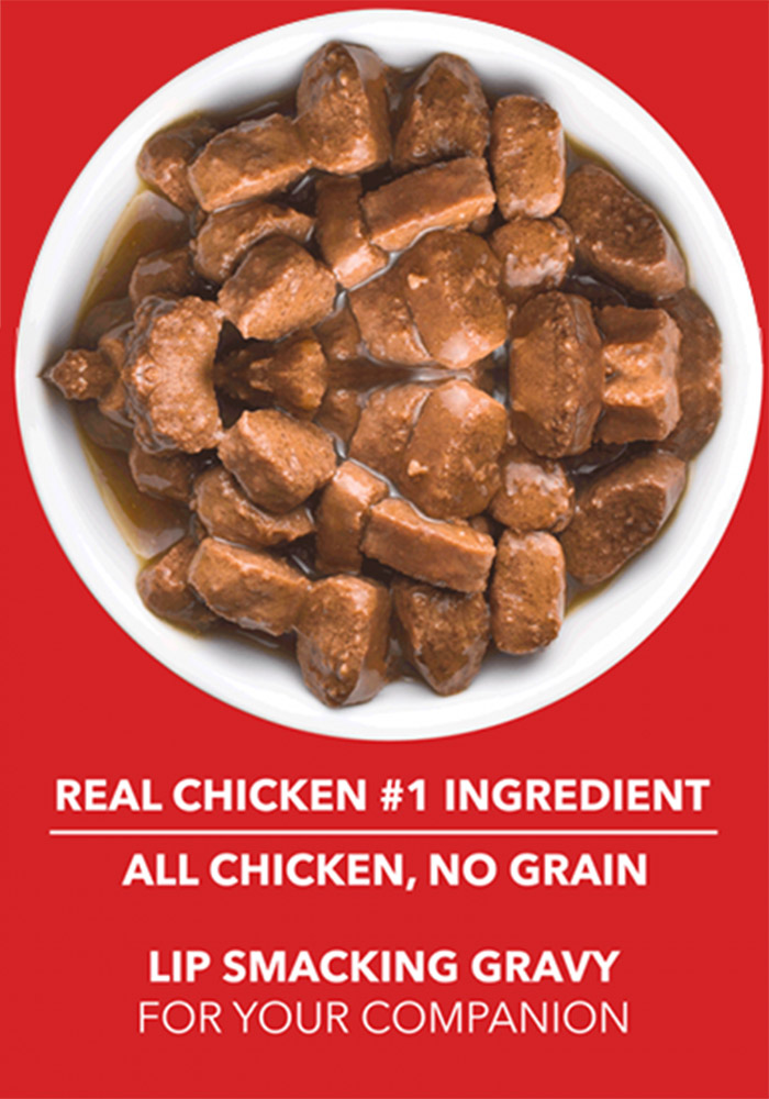 Drools wet deals dog food