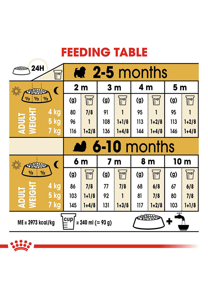 shih tzu puppy diet plan